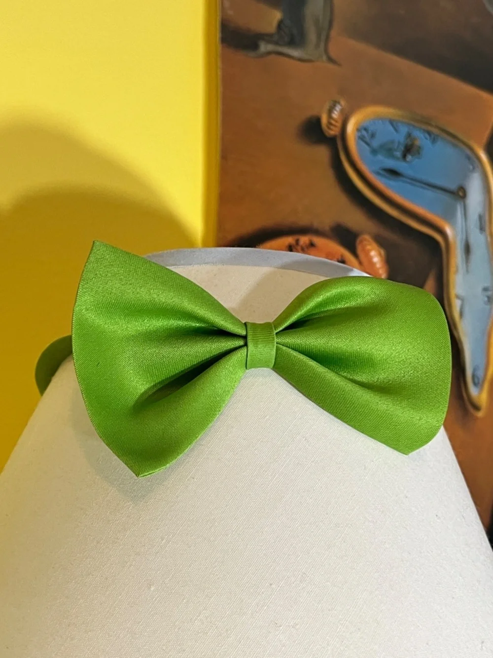 Pet Lover Bundle – Adjustable Green Bow Tie + Decorative Hook 🐾💚